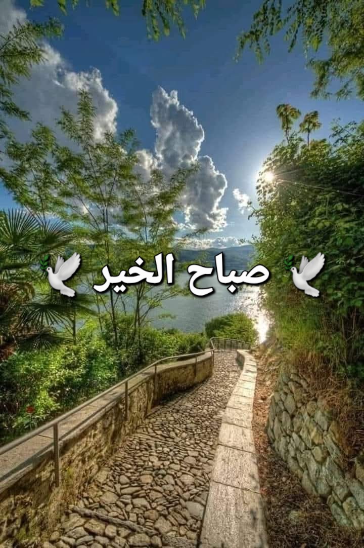 اللهم صباحًا يتفتح فيه أبواب الرزق، 
وتتيسر فيه الأمور، ويعم فيه السلام والرضا ♥

#صباح_الخير