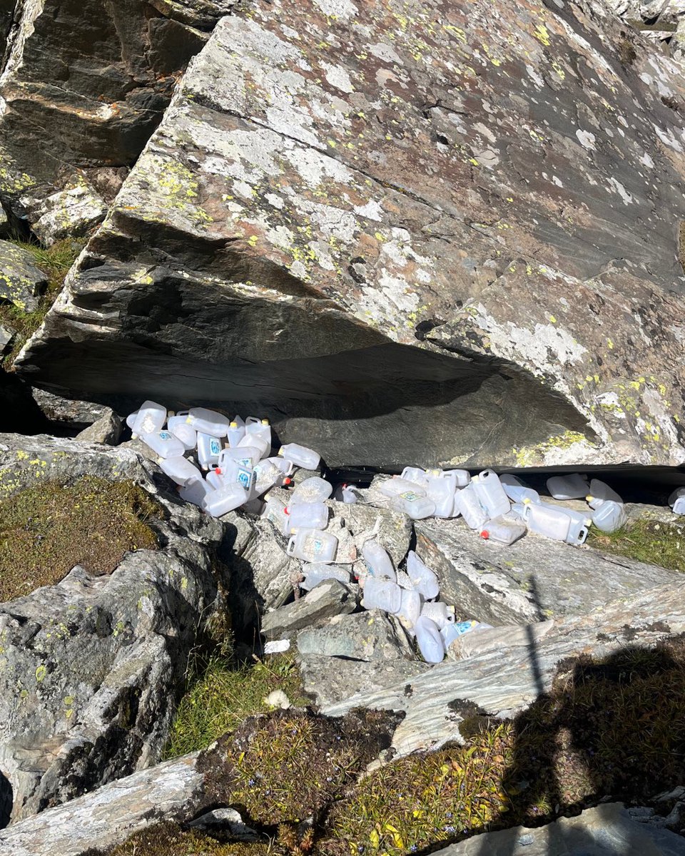 iPradeepSangwan's tweet image. High in the Dhauladhars, even sacred Manimahesh Lake isn’t spared from plastic waste. Last year, we cleared 1,579 bags 8,856 kg of waste. This year, we return from July 15–30, not just to clean, but to care. #Manimahesh needs protectors too👣
Register now – link in bio 🔗