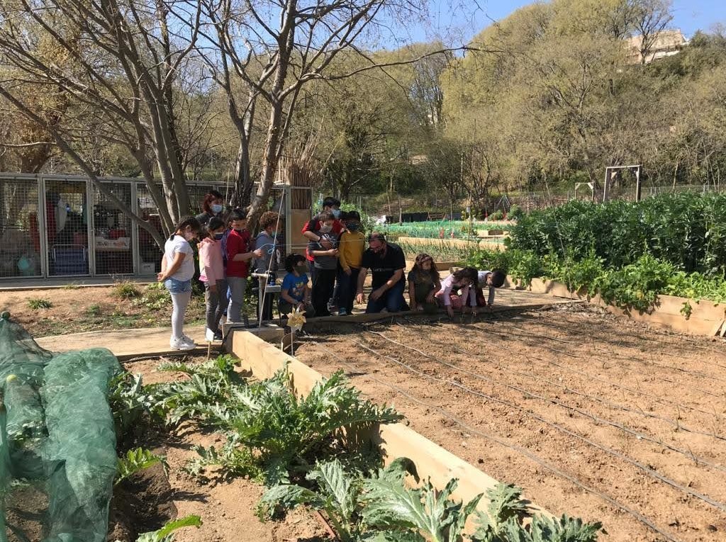 Servei Educatiu Horta-Guinardó (@sehortaguinardo) on Twitter photo 📢Com es relacionen els centres educatius amb el seu entorn proper?
✔️Estudi <a href="/bcn_hg/">Horta-Guinardó</a> en què l'Oriol Peris identifica el tipus de relacions, les estratègies i els beneficis de fer xarxa🌀
✔️Perquè l'aprenentatge va més enllà d'aules i edificis 🔛
👇🏾
educacio360.cat/com-es-relacio… 📢Com es relacionen els centres educatius amb el seu entorn proper?
✔️Estudi <a href="/bcn_hg/">Horta-Guinardó</a> en què l'Oriol Peris identifica el tipus de relacions, les estratègies i els beneficis de fer xarxa🌀
✔️Perquè l'aprenentatge va més enllà d'aules i edificis 🔛
👇🏾
educacio360.cat/com-es-relacio…