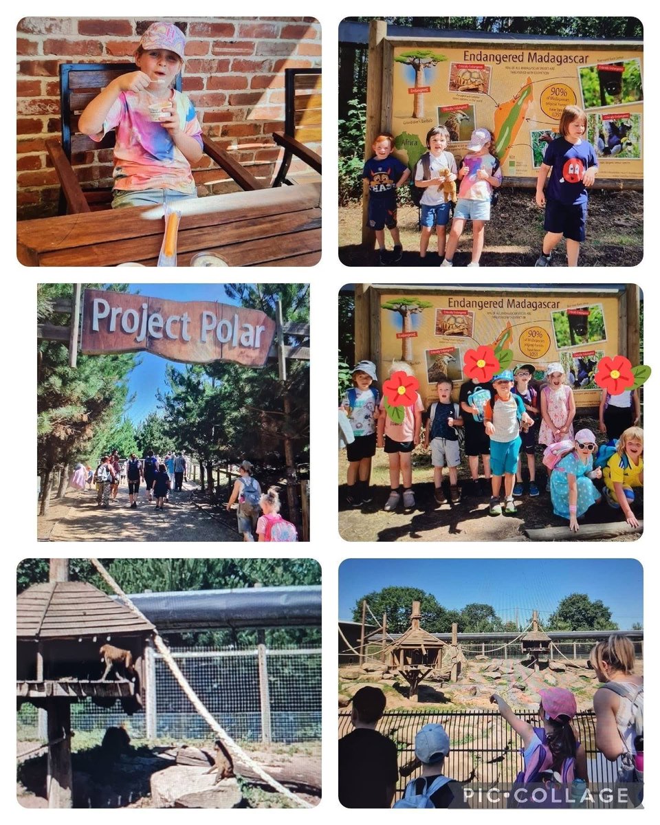 We had a wonderful day at Yorkshire Wildlife Park on Friday, courtesy of our fantastic PTA. The children made us so proud with their excellent behaviour and a great day was had by all!