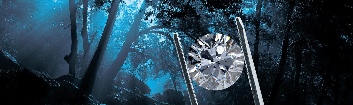 OliverMill25805's tweet image. Go green and cool with lab grown diamonds Houston by Planet Diamonds—where style and accountability converge. Visit their showroom or online inventory today!

To Visit: planetdiamonds.com/lab-created-di…

#labcreated #DIAMONDS #houstonplug