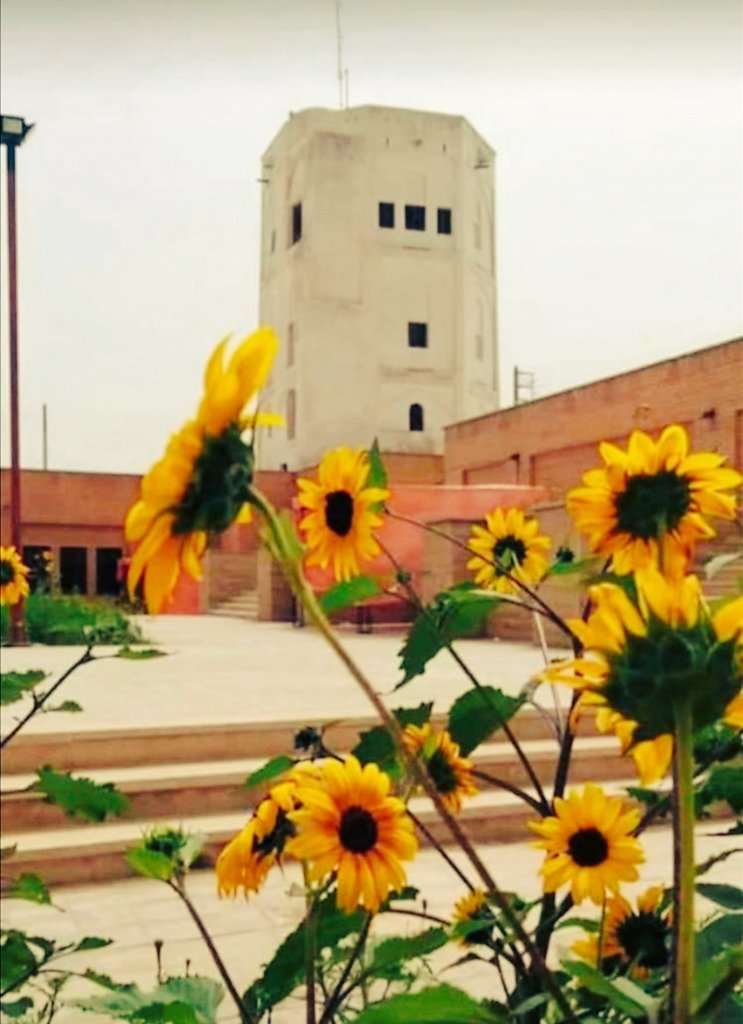 قلعه محمدخان دشتی در خورموج، یادگاری از دوران گذشته است که با معماری خشتی و برج‌های دیدبانی‌اش، جلوه‌ای تاریخی به شهر بخشیده است.

<a href="/MCTH_ir/">ایرانِ باشکوه</a>
#بوشهر
#گردشگری