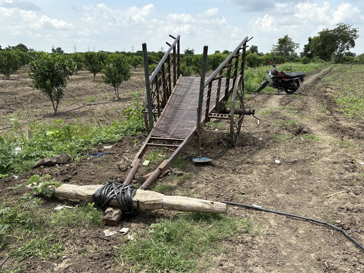 Ajayvirjakhar's tweet image. Nagpur, Maha images; cotton seed planted by hand, intercropping as derisking strategy, water drawn from open wells, sprinkler for cotton crop, more expensive labour + bullocks used for transport & cultivation. In comparison Punjab farmers live a blissful life & don’t realise it.