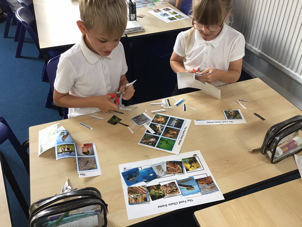 H_E_P_S's tweet photo. In Science, Leazemoor have been recapping their knowledge and understanding of food chains. Great effort from everyone! #HEPSScience https://t.co/IXwRZiV0Yy