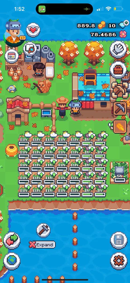 MrFoxYo's tweet photo. #SunflowerLandFarm https://t.co/COFNx0Sh8w