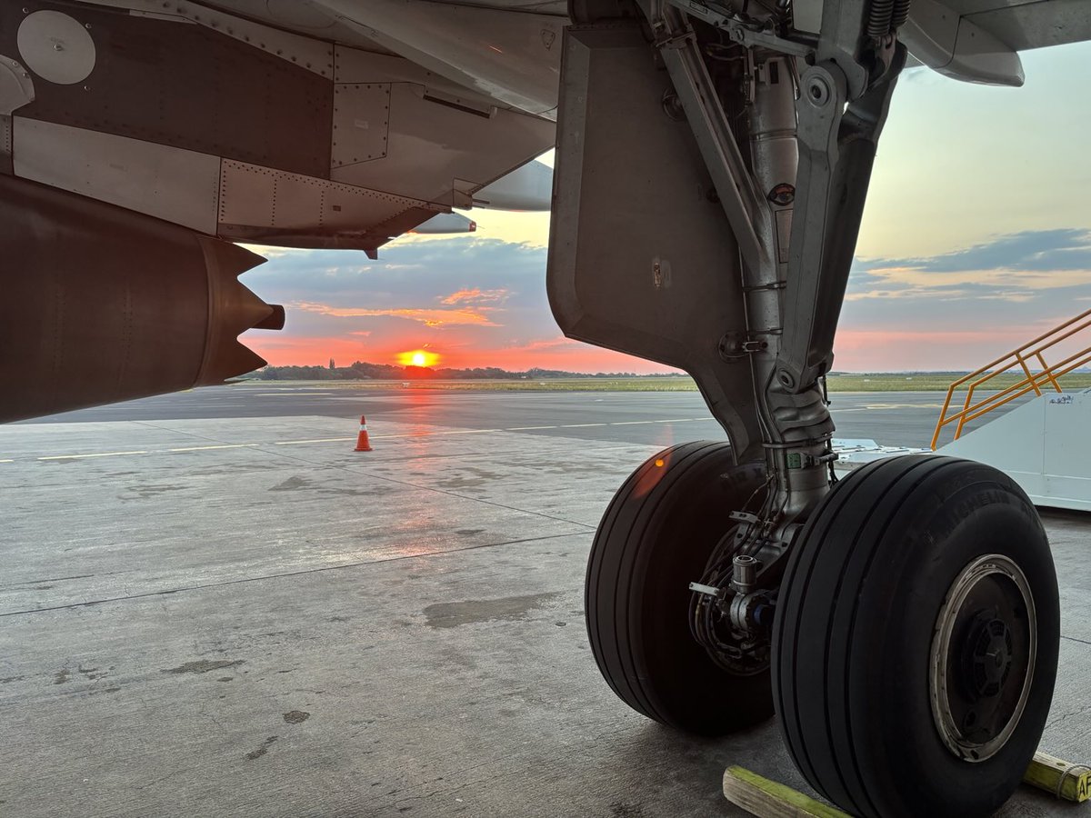 F.✈️⭐️ tweet media