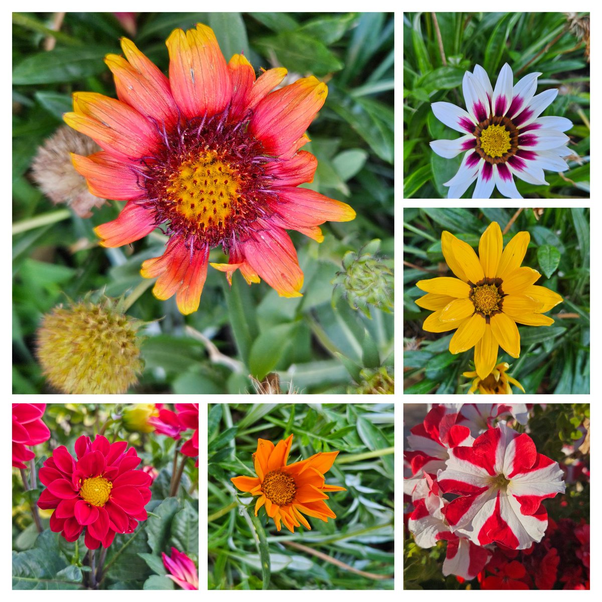 Nefernefer17 tweet media