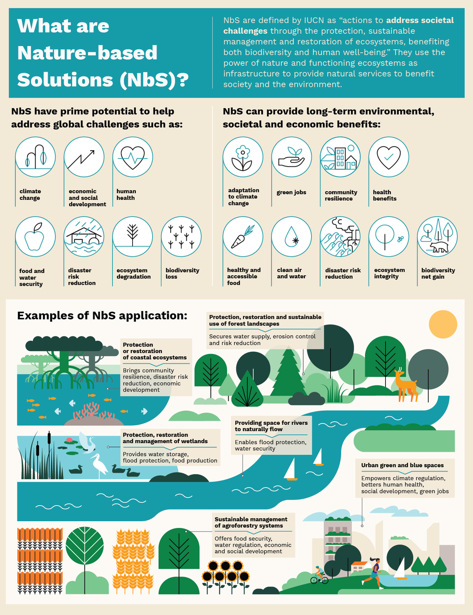 U_E_C_O's tweet image. If you're wondering what nature-based solutions are and their benefits, check out this infographic. UECO.