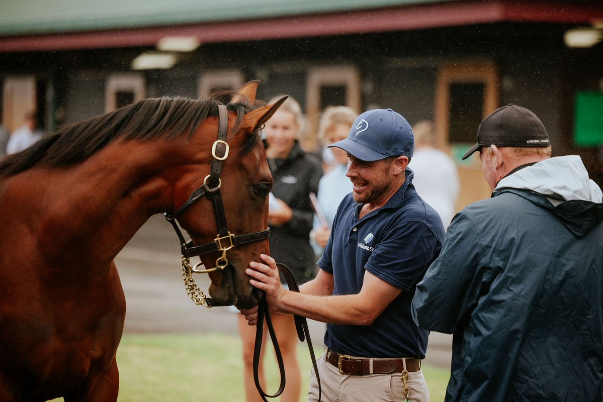 WaikatoStud's tweet image. We’re on the lookout for our Yearling Prep Class of ‘26 🙌 if you, or anyone you know, is looking to join a close-knit, hard-working team, we’d love to hear from you!
More at waikatostud.com/our-story/empl…