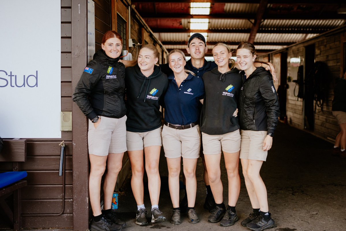 WaikatoStud's tweet image. We’re on the lookout for our Yearling Prep Class of ‘26 🙌 if you, or anyone you know, is looking to join a close-knit, hard-working team, we’d love to hear from you!
More at waikatostud.com/our-story/empl…