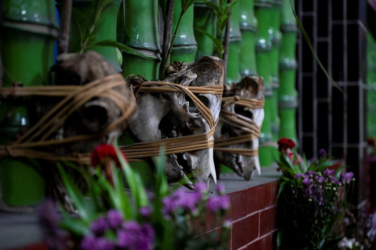 CulturalTaiwan's tweet image. Running until Oct. 5, the 56th Arles Photography Festival (Les Rencontres d'Arles) in #France features a selection of Taiwanese works under the subtheme “Living Memory – Indigenous Peoples of #Taiwan,” presenting the richness of Taiwan’s cultural heritage. moc.gov.tw/global_outreac…