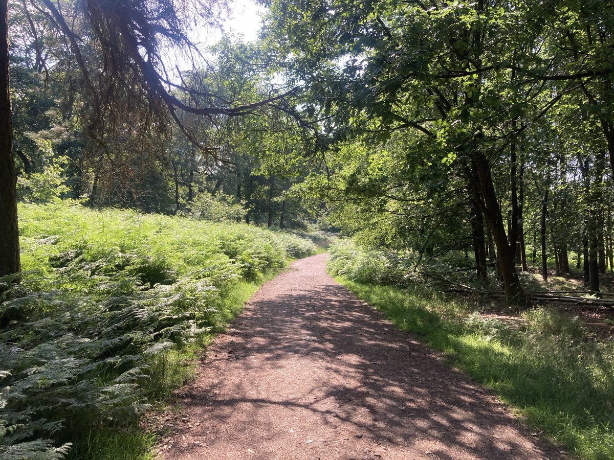 doristhehat's tweet image. Good morning everyone wishing you a happy day 馃榾wonderful wanderings on Sunday thru lovely Longshaw . Beautiful butterflies galore, Dark Green Fritillary and Gatekeeper 馃挌
#PeakDistrict