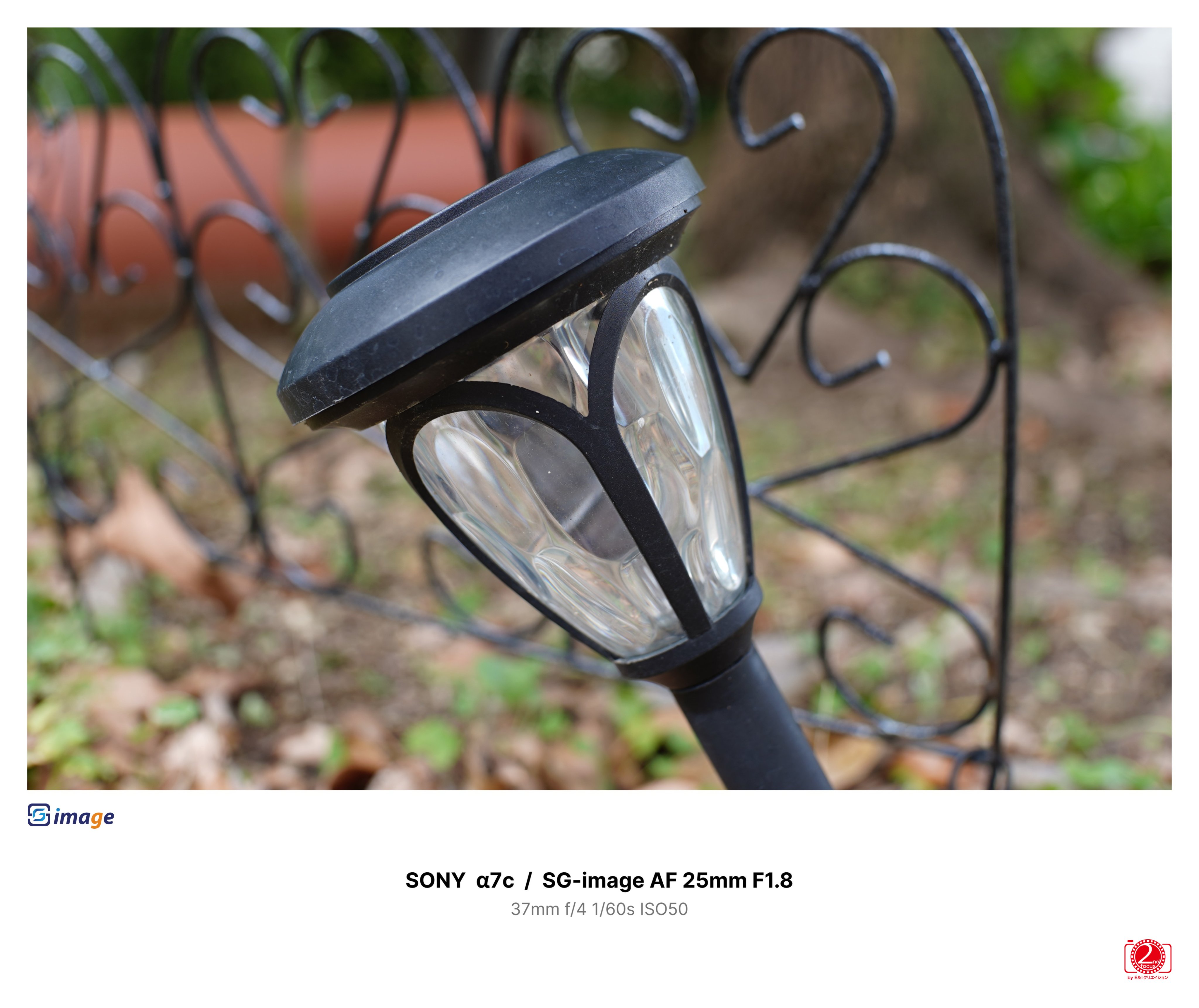 SGimage - Search / X