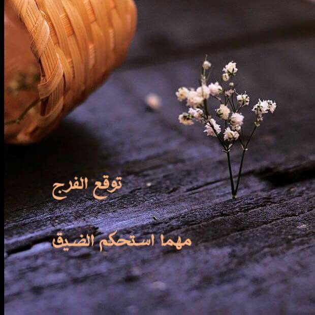 سالم الراشدي tweet media