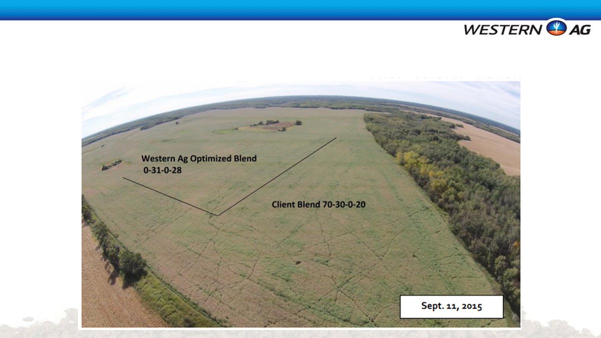 Elliott Hildebrand PAg tweet media