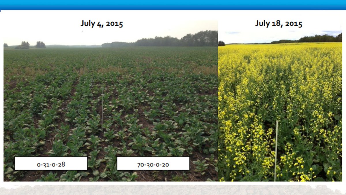 Elliott Hildebrand PAg tweet media