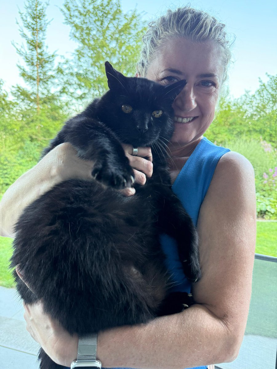 BritToSwiss's tweet image. This is the face of a totally pissed off cat… Joey was so annoyed with me for putting his skin oil on him he barely tolerated me cuddling him and only then because I’d bribed him with Steak Tartar…. Today it’s all a distant memory and he loves me again….