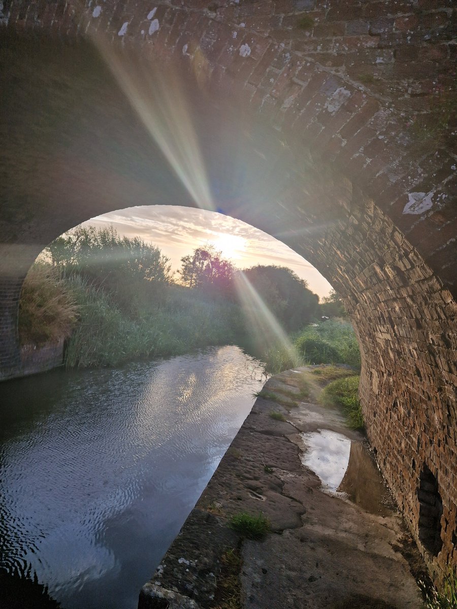 tracehodge17's tweet photo. Another fabby #5amclub piccie from under my bridge - looking gorgeous as always! #ukrunchat #running #favplace @CanalRiverTrust โค๏ธ๐ https://t.co/lMPs0Proua