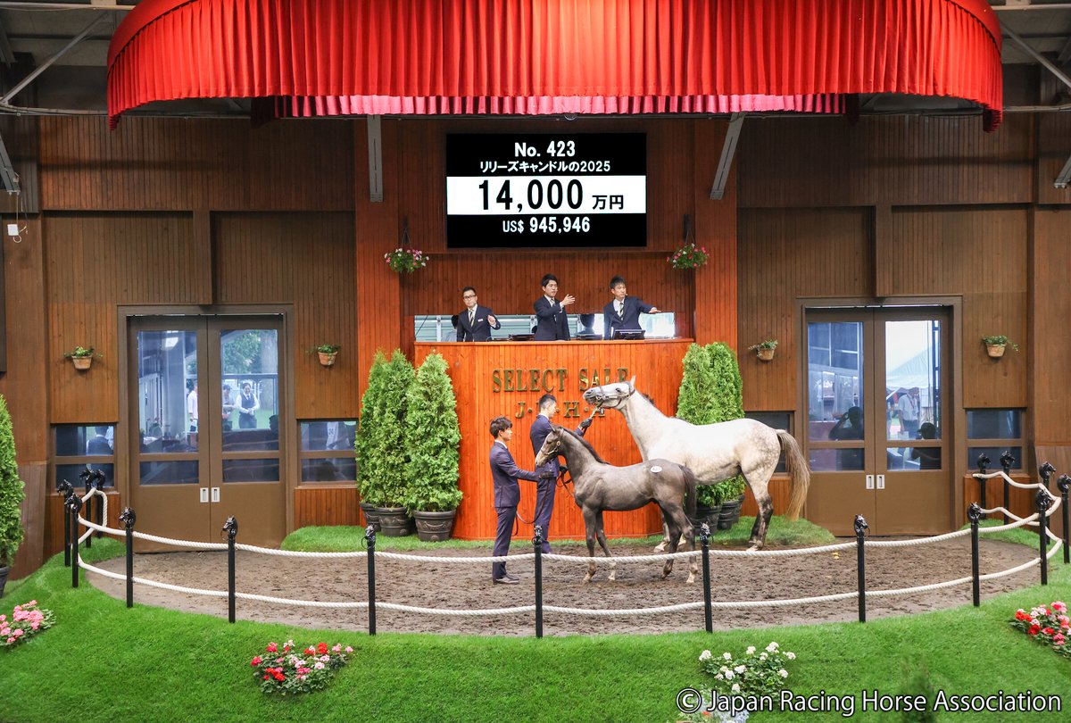 JRHA-SELECT SALE tweet media