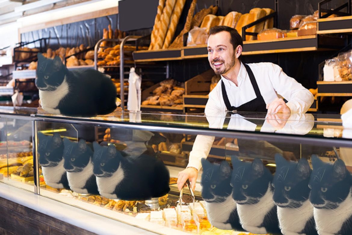 marcantoinecat's tweet image. wake up bestie
a new type of baguette just dropped