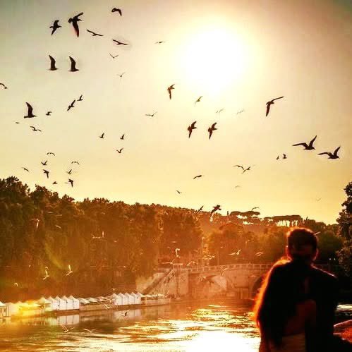 ...Tornano i picchi di temperature sull' #estateromana; estate piena di eventi e manifestazioni, quelle sul Tevere e non... buon martedì ☀❤😎