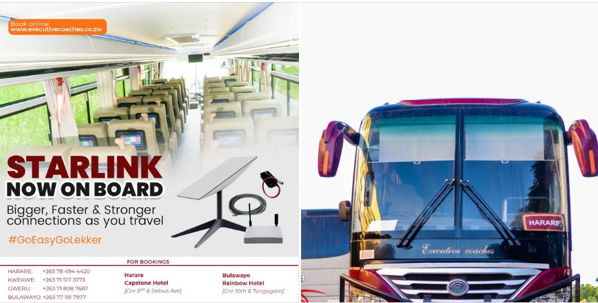 willard shoko tweet media