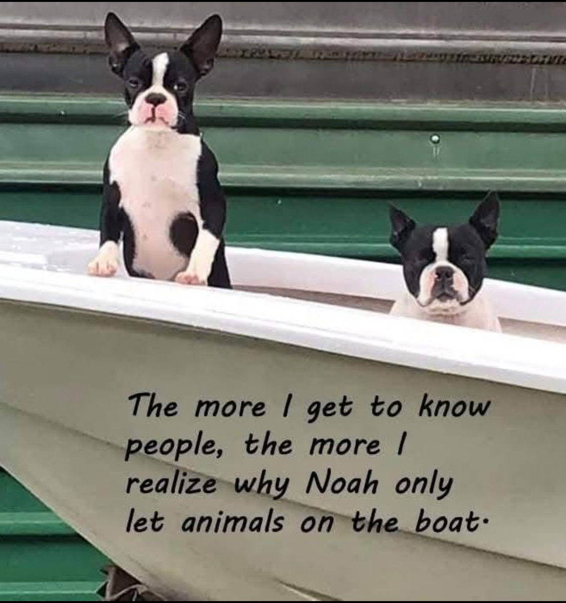 Really makes you think, does it not?