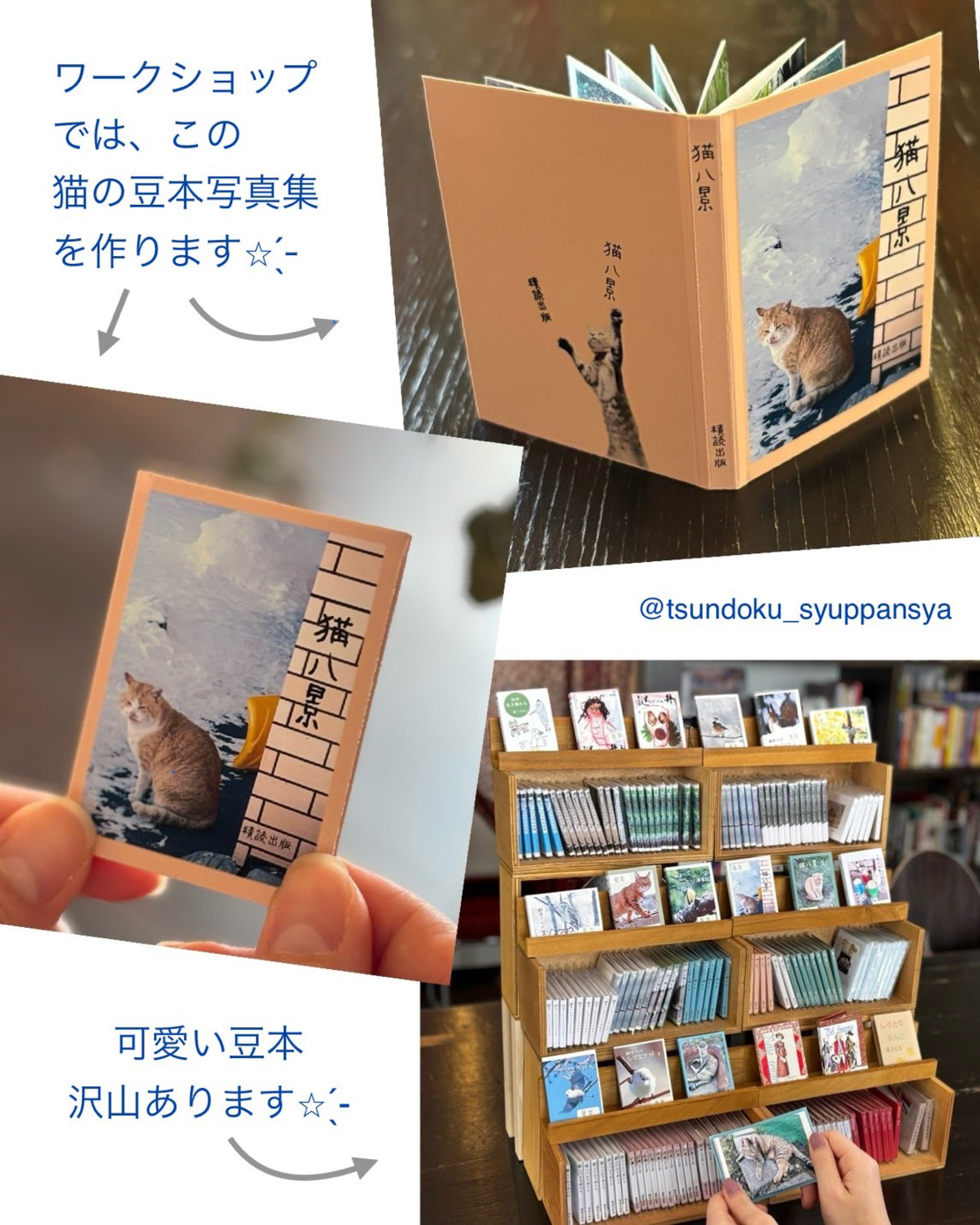 お買い得❗休暇村✨旅する絵本✨人気の北海道、東北地方６点セット❗ 旅する絵本 | 休暇村公式ホームページ《ベストレート保証》
