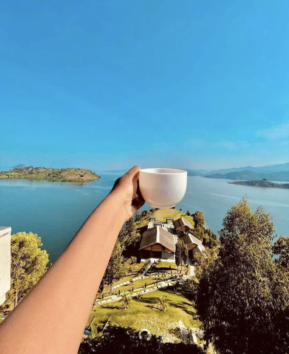 Africa First tweet media