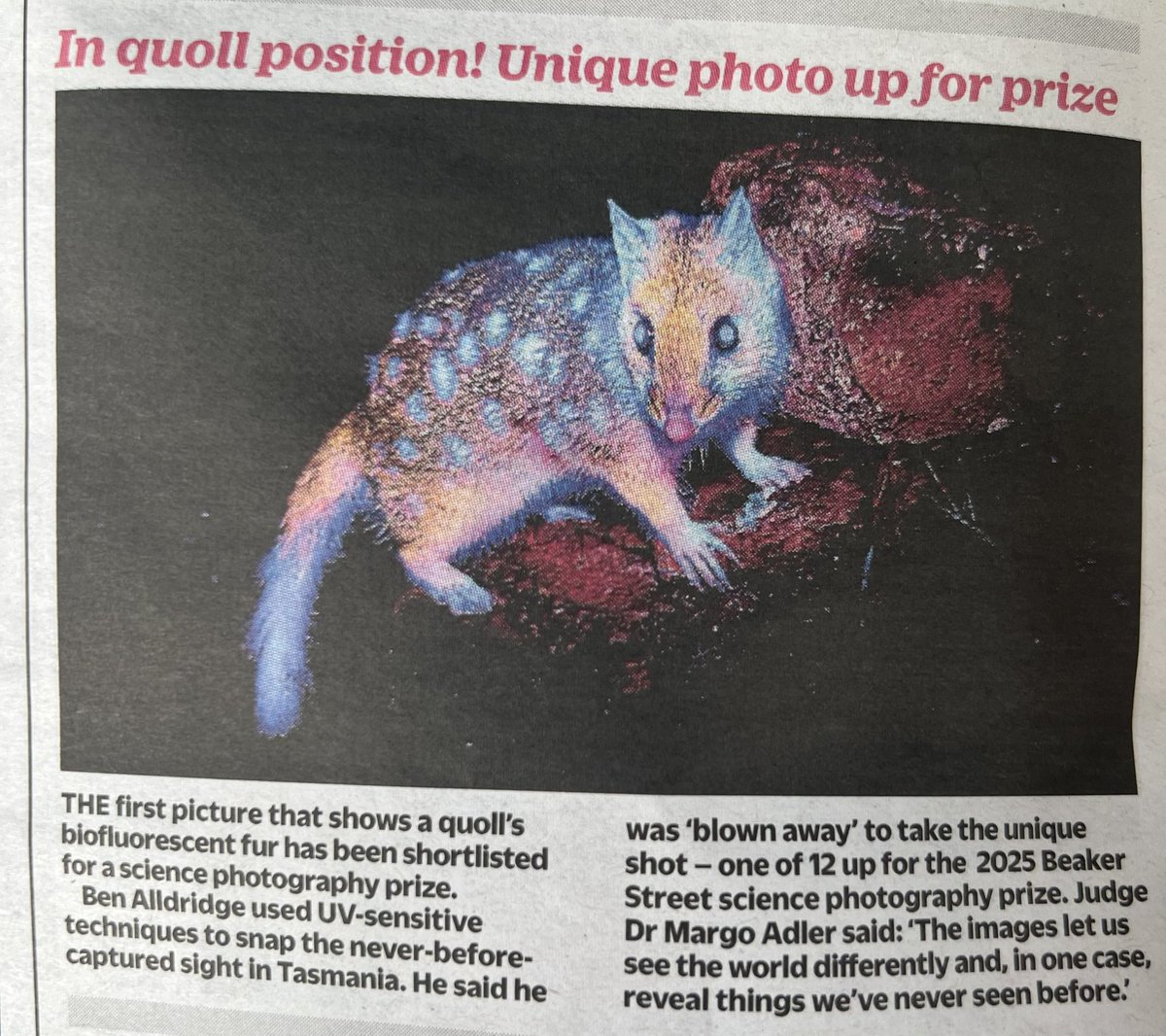 CRYPTIDS UK 👣🦕 tweet media