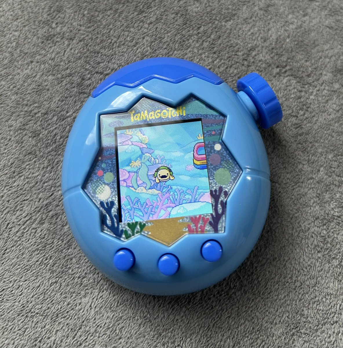 uouodango's tweet image. きゃわっ!!🐢になった!!