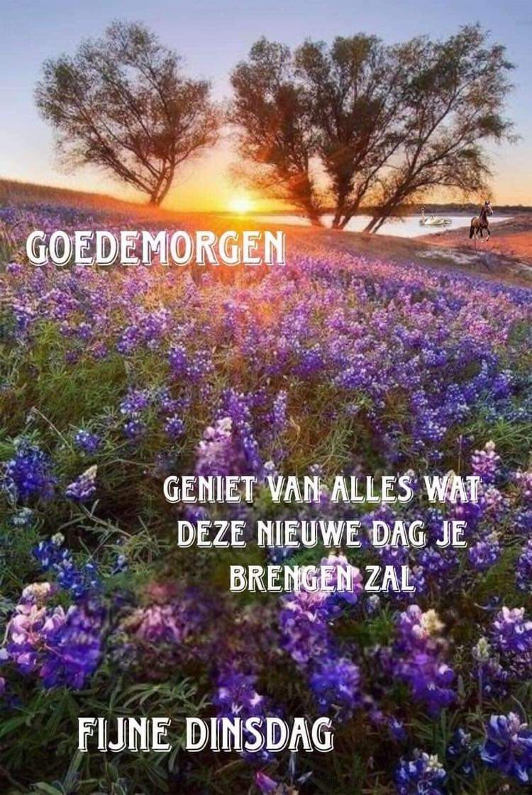 Goeiemorgen ☕ lieverds 🍀
Heb een fantastische dinsdag 😉 🌞