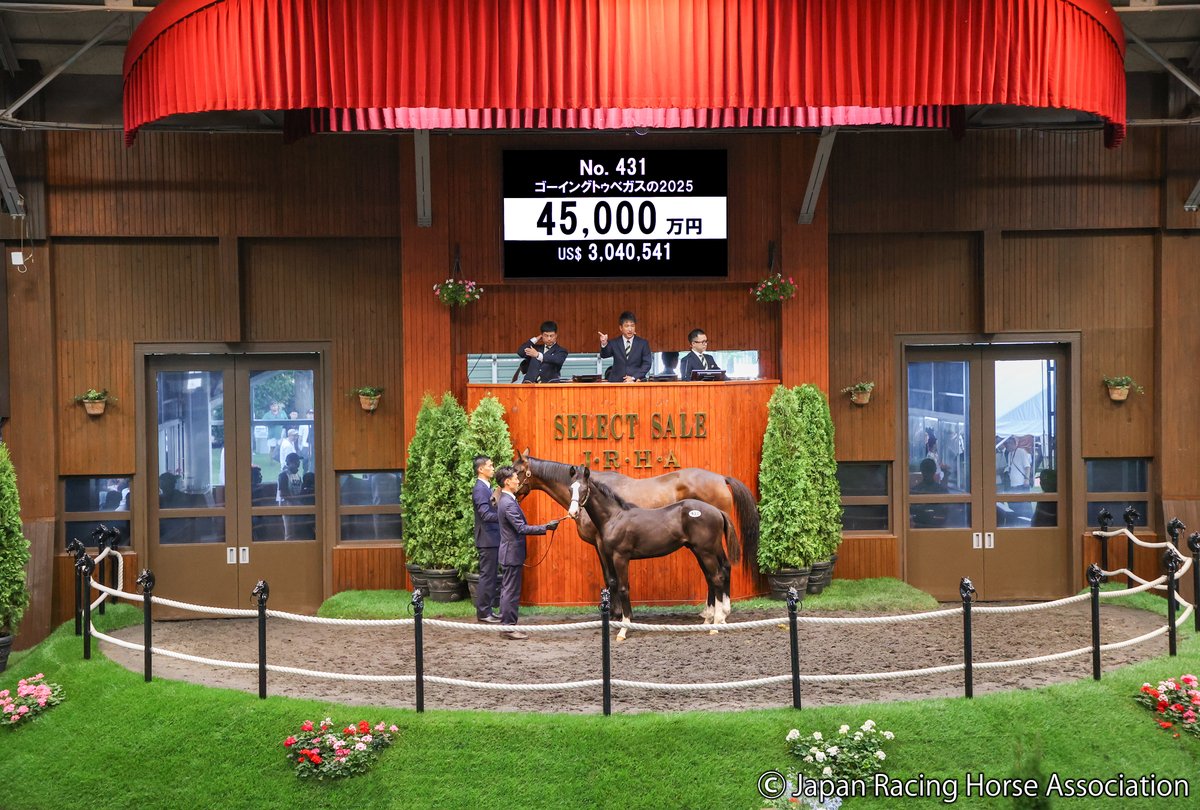 JRHA-SELECT SALE tweet media