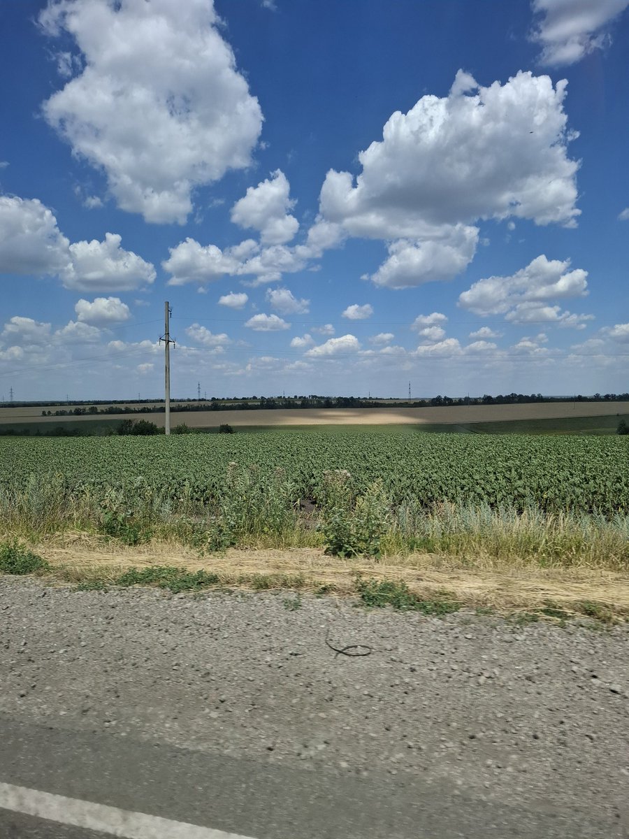 Docmet's tweet image. Всім здра! Україна-збирає врожай пшениці та доращує сояшрик та кукурудзу! Попри все!!!