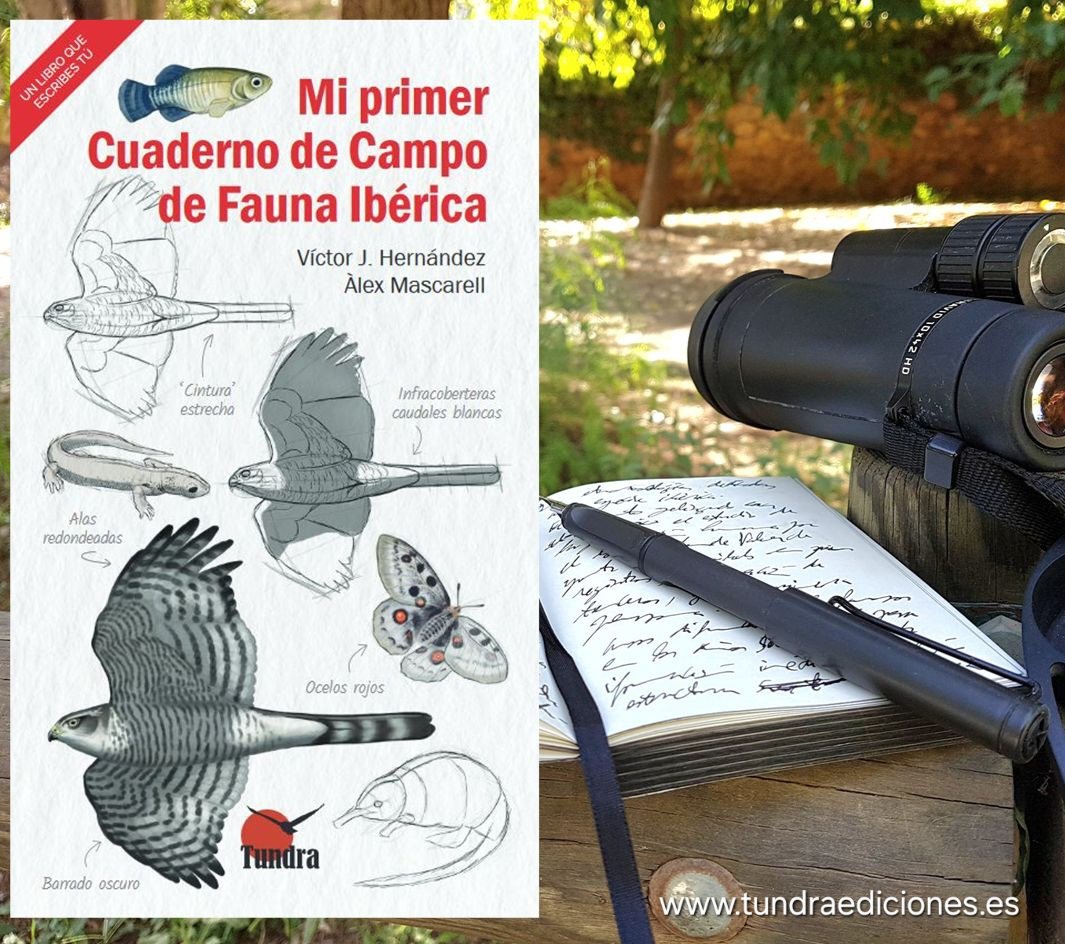 VĂctor J. Hernández (@victorjhernandz) on Twitter photo YA se puede encargar en tundraediciones.es MI PRIMER CUADERNO DE CAMPO DE FAUNA IBÉRICA. QuĂ© es, para quĂ© sirve, quĂ© informaciĂłn recopilar y cĂłmo llevar un cuaderno de campo con el registro de las observaciones realizadas en la Naturaleza. Ilustrado por <a href="/AlexMascarell/">Alex Mascarell</a> YA se puede encargar en tundraediciones.es MI PRIMER CUADERNO DE CAMPO DE FAUNA IBÉRICA. QuĂ© es, para quĂ© sirve, quĂ© informaciĂłn recopilar y cĂłmo llevar un cuaderno de campo con el registro de las observaciones realizadas en la Naturaleza. Ilustrado por <a href="/AlexMascarell/">Alex Mascarell</a>