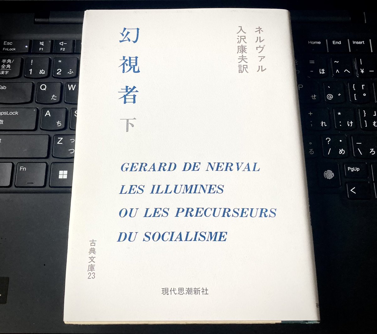 現代思潮新社の報を目にし、なんとなく積読になっていたネルヴァル『幻視者』を読みたくなった