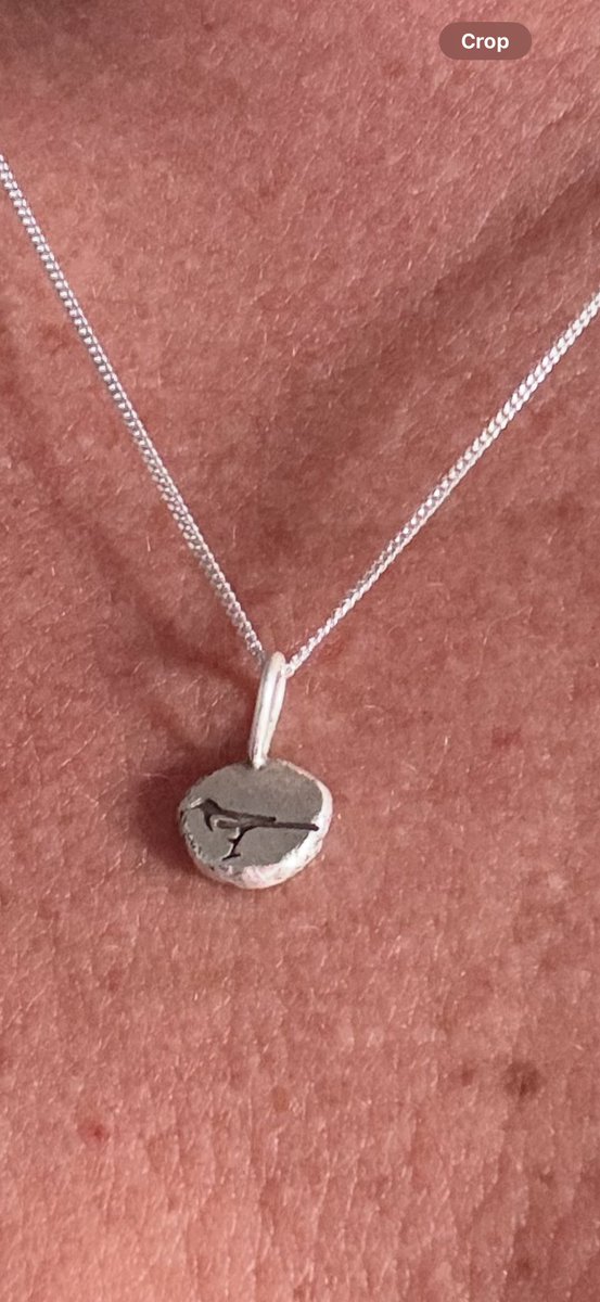 welshadventura's tweet photo. This one seems to be popular with my detecting buddies! https://t.co/XBzdAf7nDh #magpies #detectorists @DetectoristsA https://t.co/m9du4WWVwA