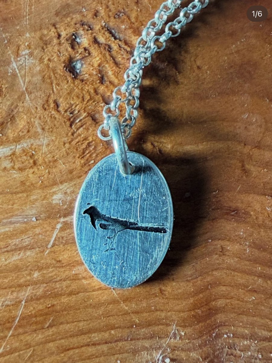 welshadventura's tweet photo. This one seems to be popular with my detecting buddies! https://t.co/XBzdAf7nDh #magpies #detectorists @DetectoristsA https://t.co/m9du4WWVwA