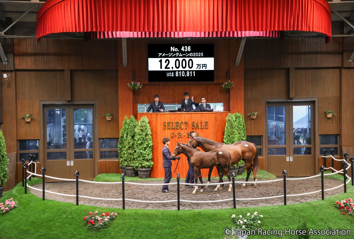 JRHA-SELECT SALE tweet media