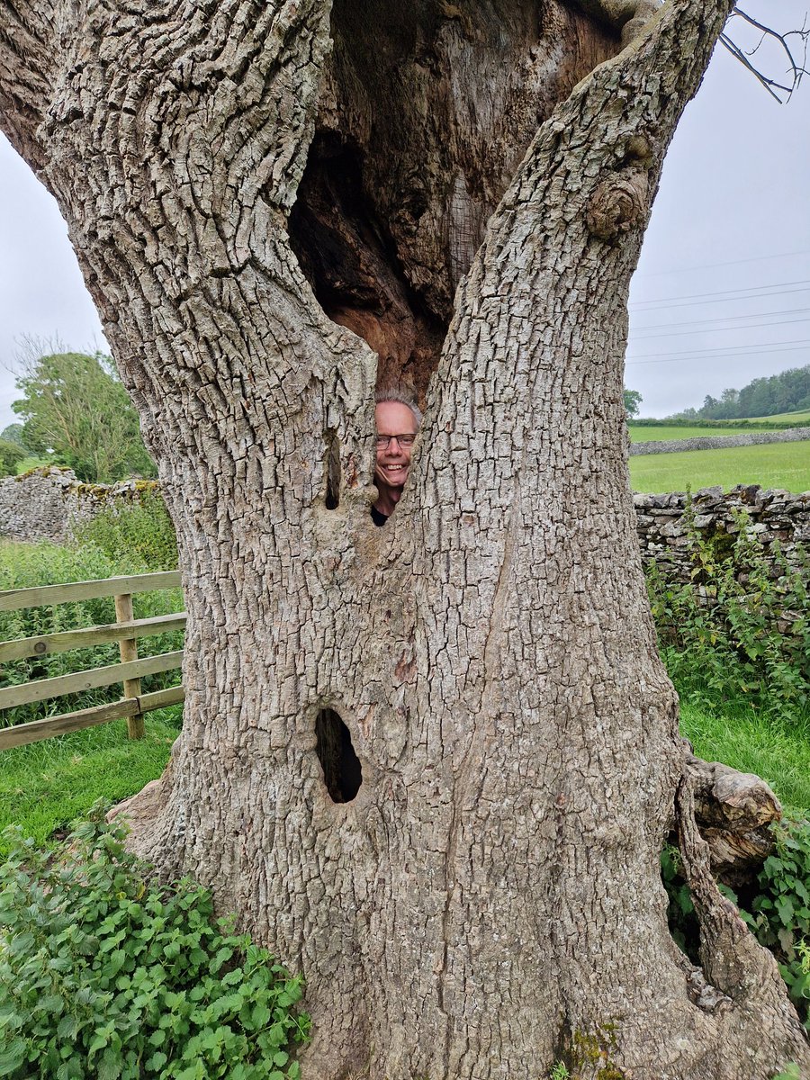 John_Dabell's tweet image. You don’t wake up one day a fully-fledged optimist, with sunshine coursing through your veins & a ready-made smile to greet every storm. Optimism is a craft, & it has its apprentices. Apprentice optimists spend years shaping grit into hope. I'm still serving my apprenticeship.