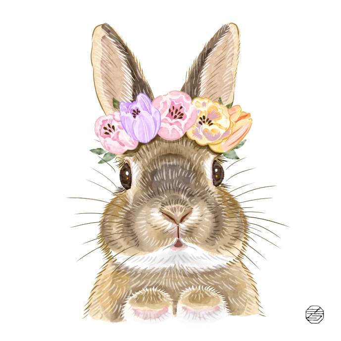 RabbitMoreKM's tweet photo. ひょこり
琥珀ちゃん🐇 https://t.co/46qgKWTxZS