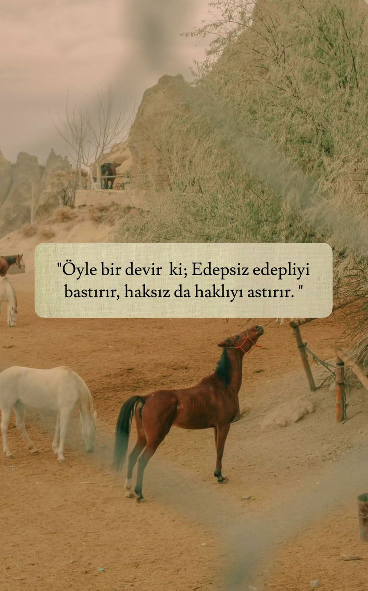 D'de ki genel insan profili ve yargıları... Geçen gün bir video izlemiştim kadın hırsızlık yapıyor Adam onu yakalıyor çaldığı eşyayı bıraktırıyor. onu olduğu yerden kovuyor altındaki yorumlar...yardım etseydin??neden!!! hırsıza yardım edelim.. Bence bir an önce kendinize gelin. .