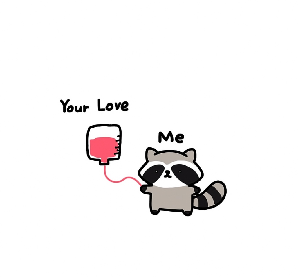 raccoon aesthetic. (@raccoonesthetic) on Twitter photo 