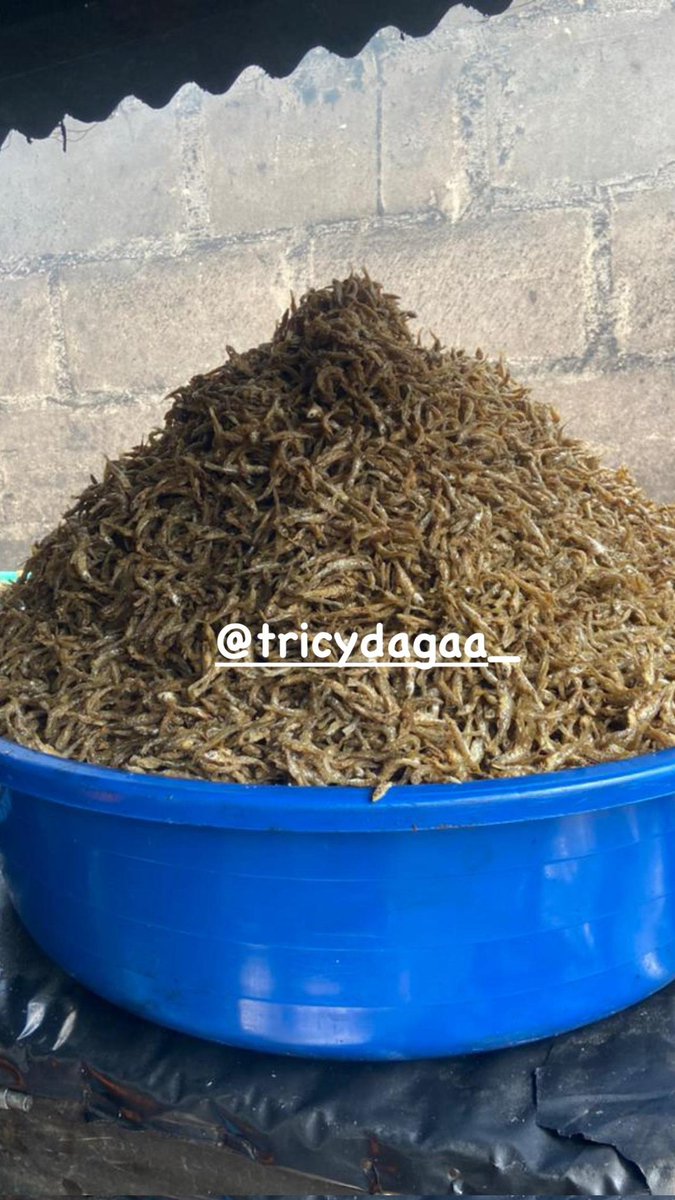 Hatimae ziwa limefunguliwa, sasa dagaa wapyaaaa na wa moto moto utawapata <a href="/TricyDagaa_/">TricyDagaa</a> 

Sado 25,000
Ndoo ndogo 65,000
Ndoo kubwa 110,000

Wapigie au WhatsApp 0759855572 
<a href="/TricyDagaa_/">TricyDagaa</a> <a href="/amprincess9/">TricyLove🦁</a>
#SokoLetu