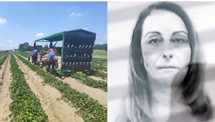 pleporace's tweet photo. Piango Anamaria Galusca Kadar, 44 anni, bracciante rumena ha perso la vita mentre stava lavorando all’interno dell’azienda agricola Salvi Vivai a Volania in Emilia. Stava agganciando il mezzo agricolo ad un rimorchio quando il mezzo pesante ha fatto un balzo all’indietro. https://t.co/KbSwjWX5JL