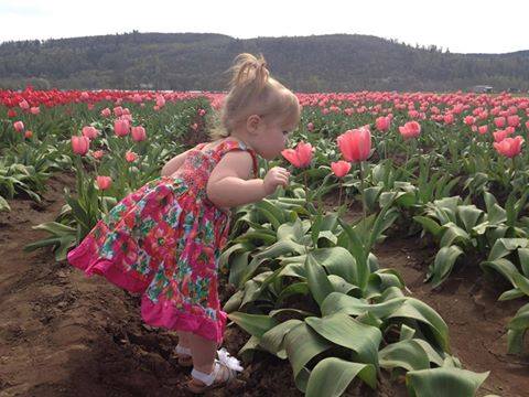 anote2mich's tweet image. Raise the child to discover the scent
of flowers, early .. and they shall
never lose it ..
M🌺🌻🌷