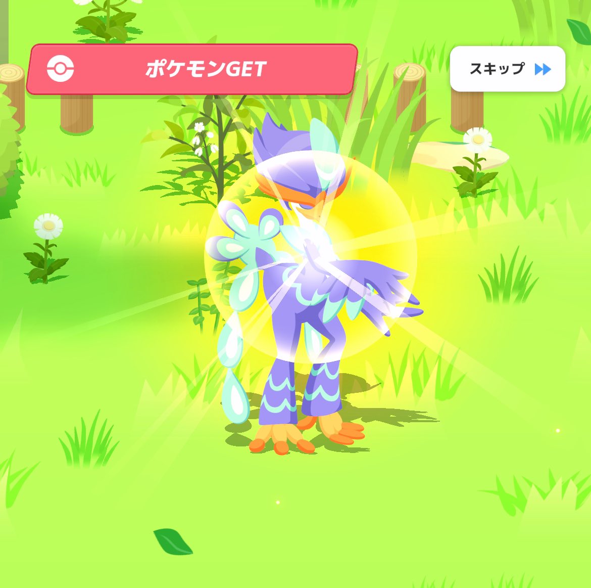 rikuboochan18's tweet photo. #ポケスリ2周年をいっしょに を添えて
あなたのとっておきの1枚をシェアしよう！
上げてない色違いを供養します！
#ポケモンスリープ
#ポケスリ https://t.co/SIYTmmEL7M