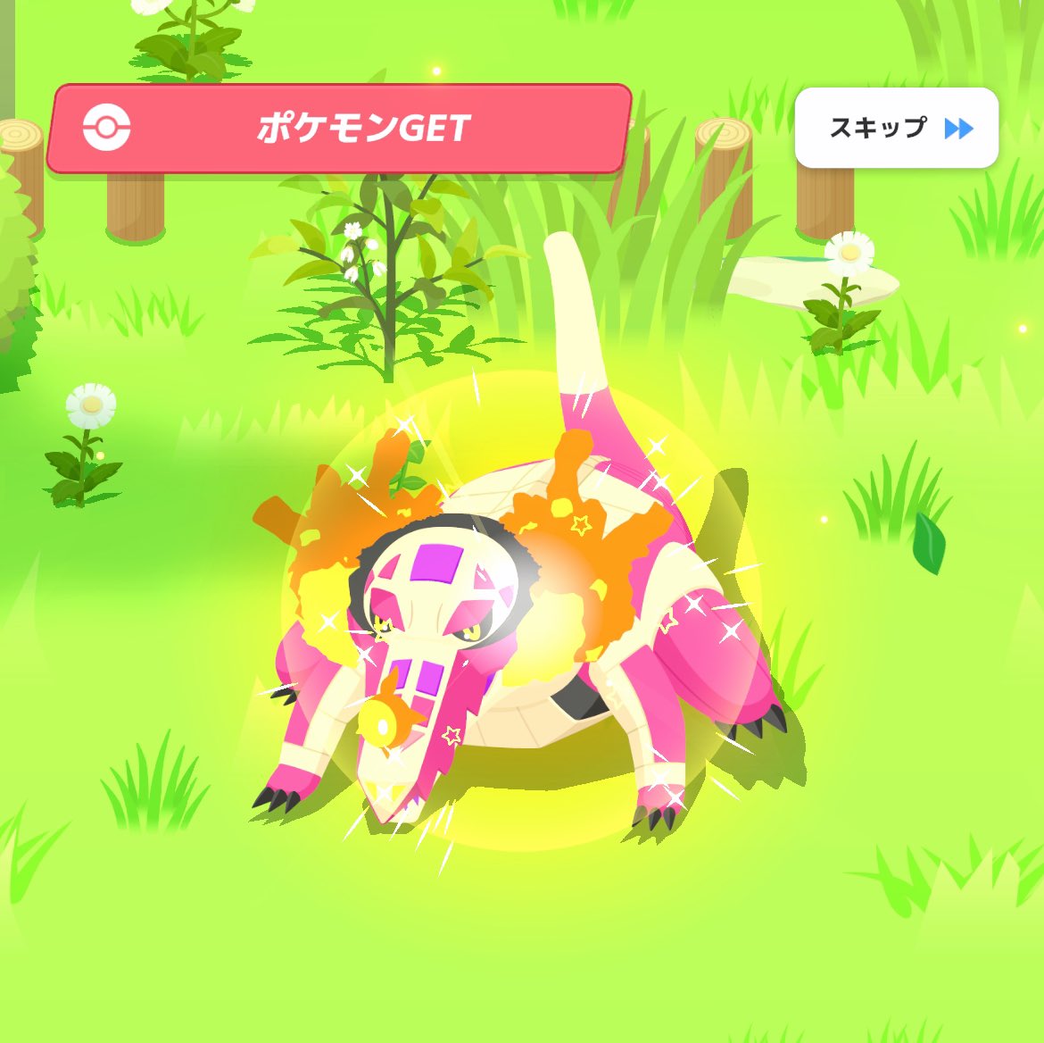 rikuboochan18's tweet photo. #ポケスリ2周年をいっしょに を添えて
あなたのとっておきの1枚をシェアしよう！
上げてない色違いを供養します！
#ポケモンスリープ
#ポケスリ https://t.co/SIYTmmEL7M