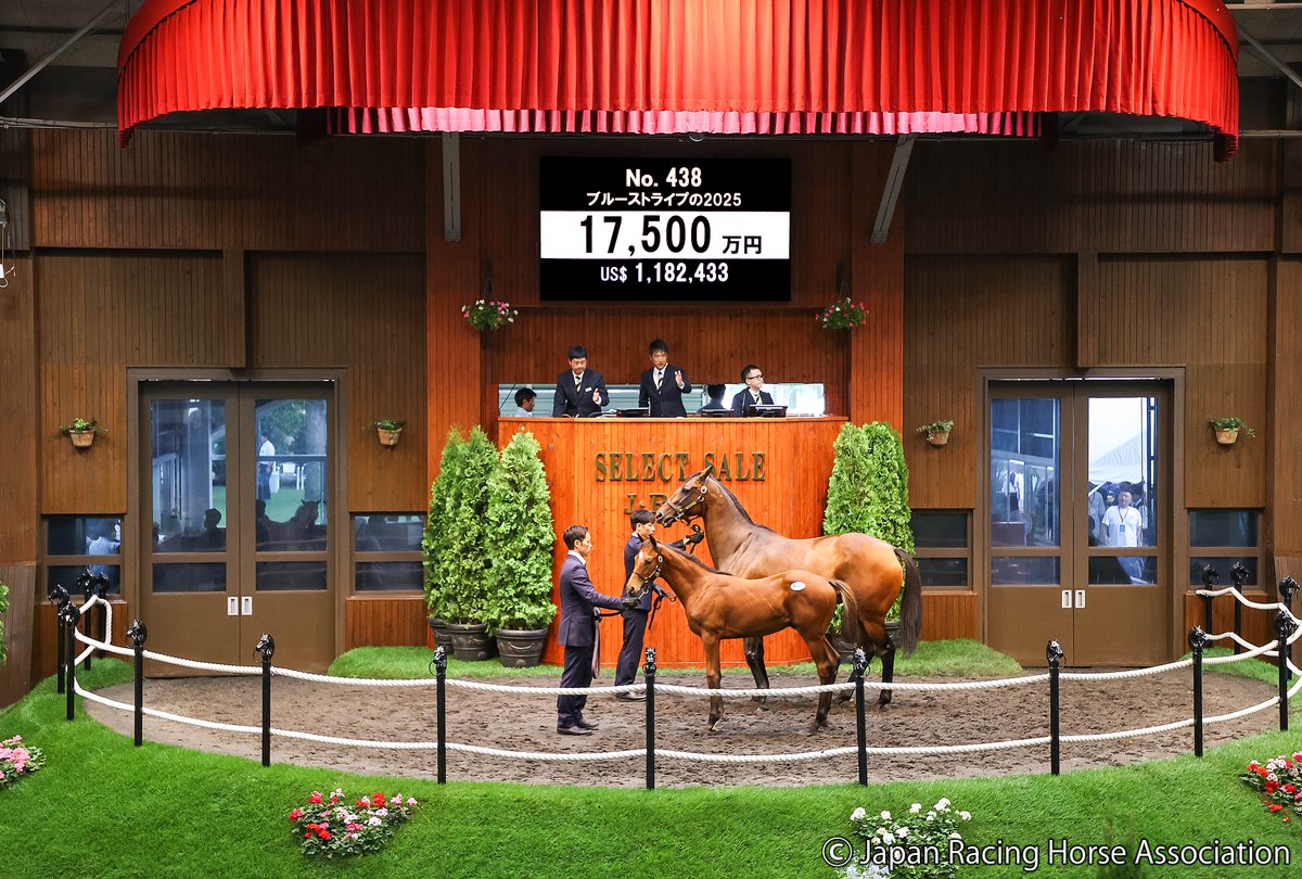 JRHA-SELECT SALE tweet media