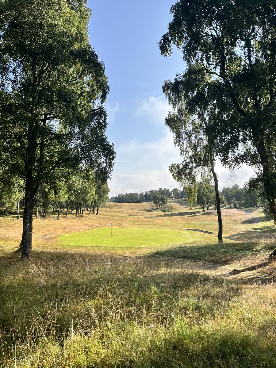 Course playing really like a links! Loving this spell of weather! ⛳️